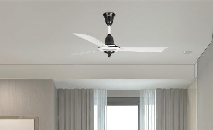 a-statement-above-enhance-your-abode-with-a-unique-ceiling-fan