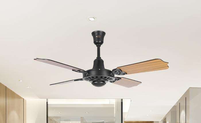 designer-wooden-ceiling-fans-a-trend-worth-following-in-2024