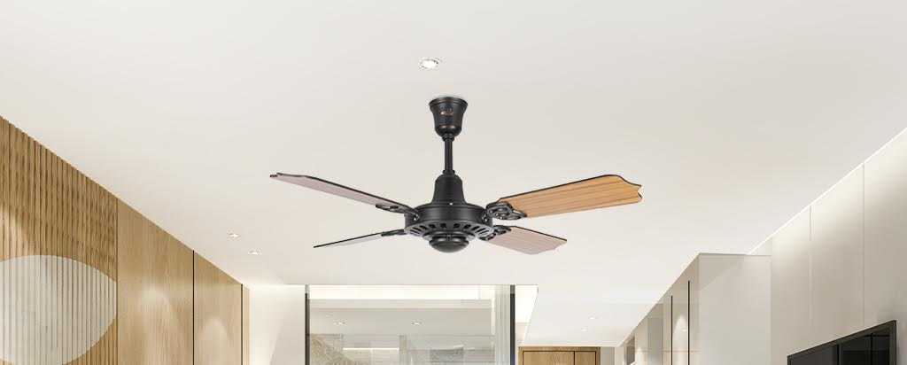 Transform Your Space with the Elegance of The Regallia Ceiling Fan