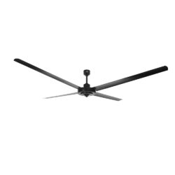 hvls jazz fan