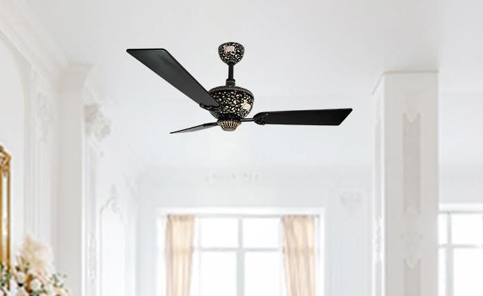How Designer Fans Elevate Home Interiors: Top Fan Collection