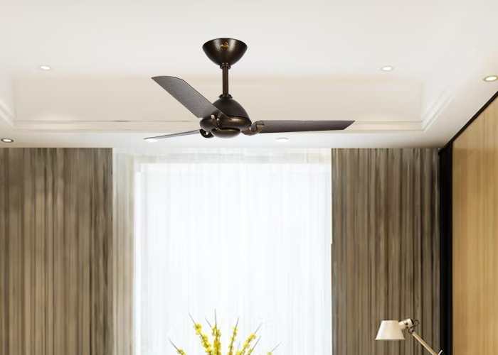 Viraj Ceiling fan