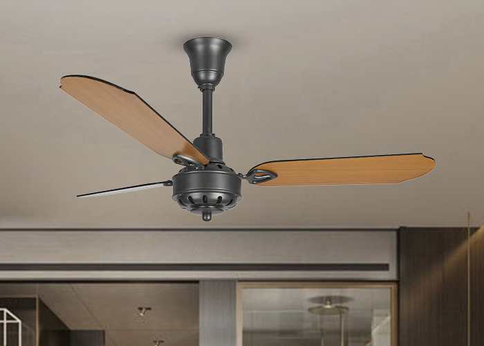 Vistara Ceiling fan