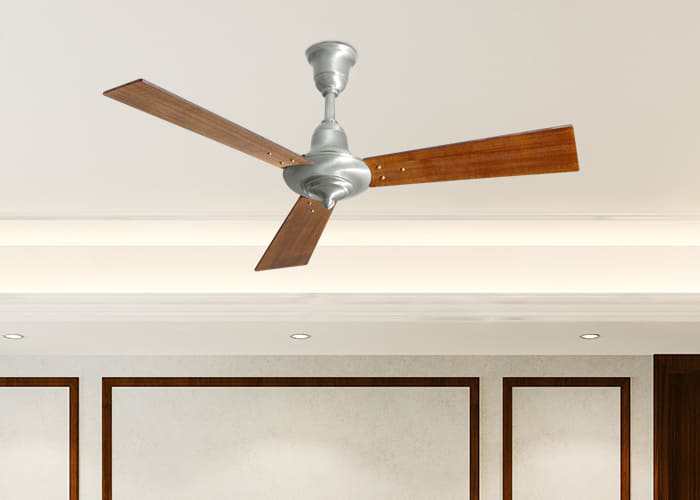 Revival Ceiling fan