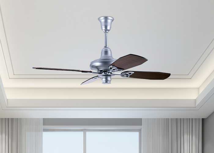 Aster Ceiling fan