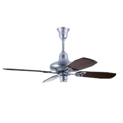 Aster Ceiling fan