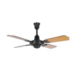 Regallia Ceiling fan