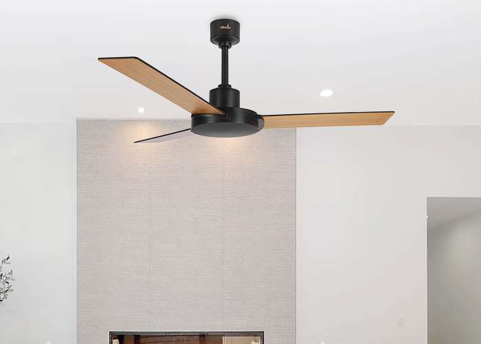 Alpha Ceiling fan