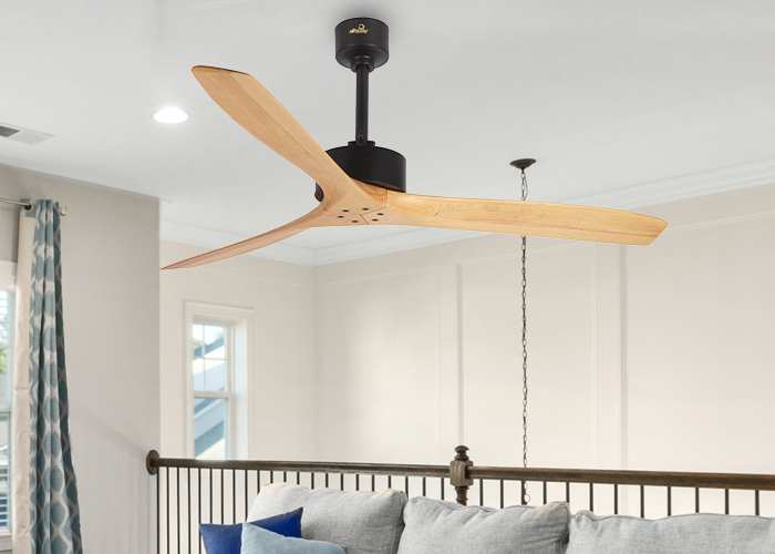 Propellor Ceiling fan