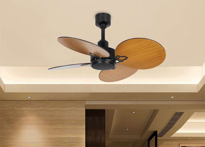 Bacca Ceiling fan