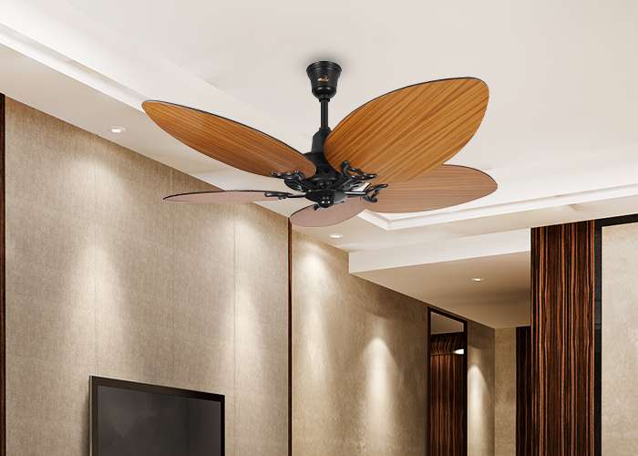 Belleza Ceiling fan