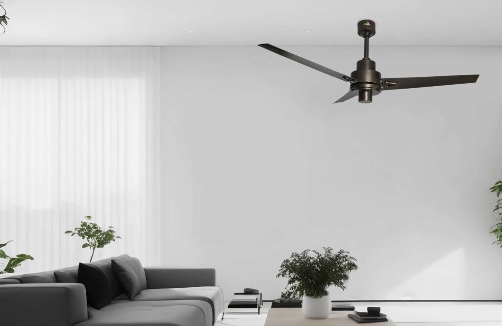 Bold Ceiling fan