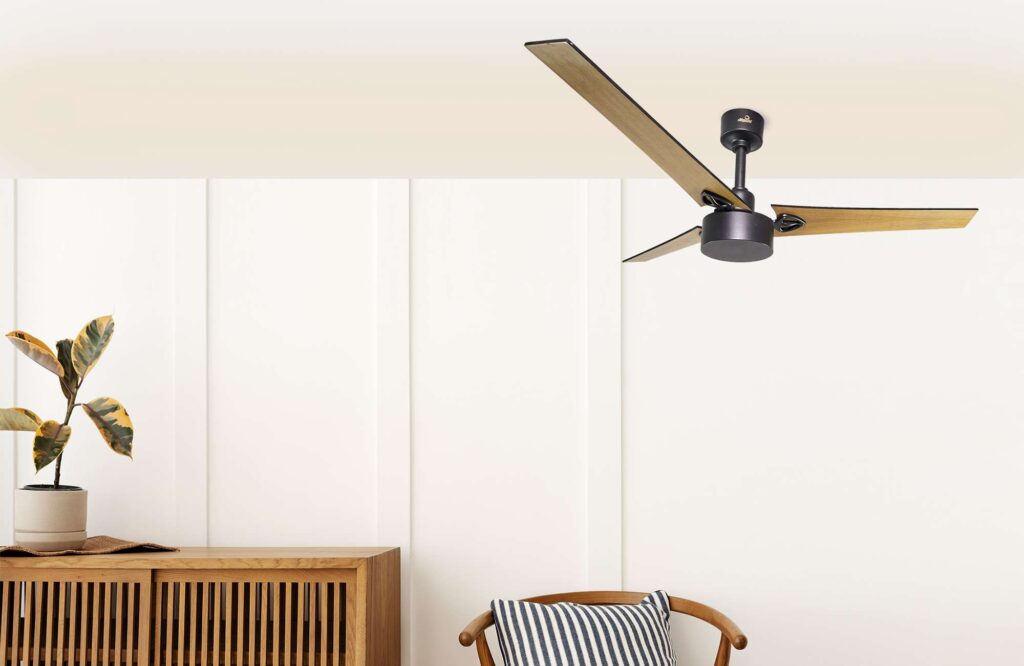 Antonious Ceiling fan