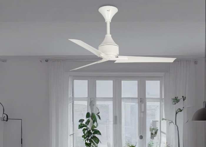 Owo Ceiling fan