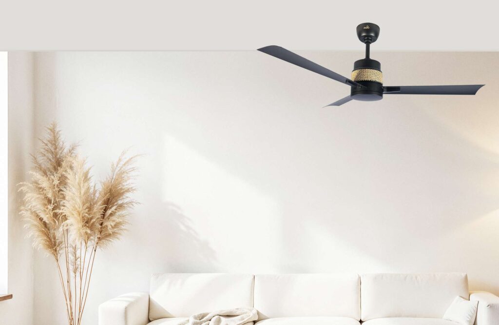Desire Cane Ceiling fan
