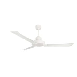 Amaze Ceiling fan