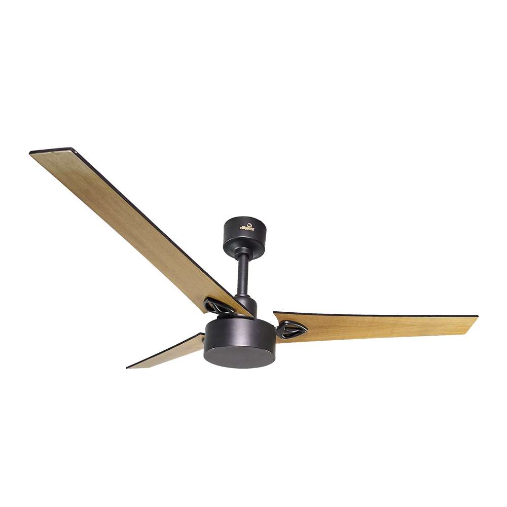 Modern Designer Ceiling Fans Collection in India | The Fan Studio