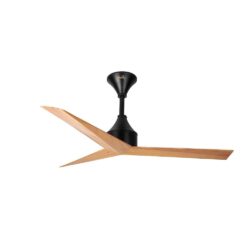 Bello Ceiling fan