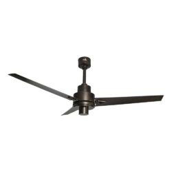 Bold Ceiling fan