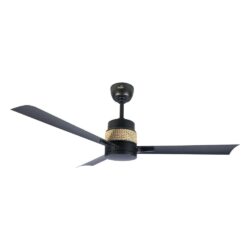 Desire Cane Ceiling fan