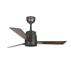 Desire Ceiling fan