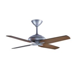 Gladiator Ceiling fan