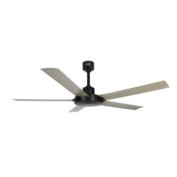 Helios 6 Blade Ceiling fan