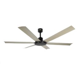 Helios 6 Blade Ceiling fan