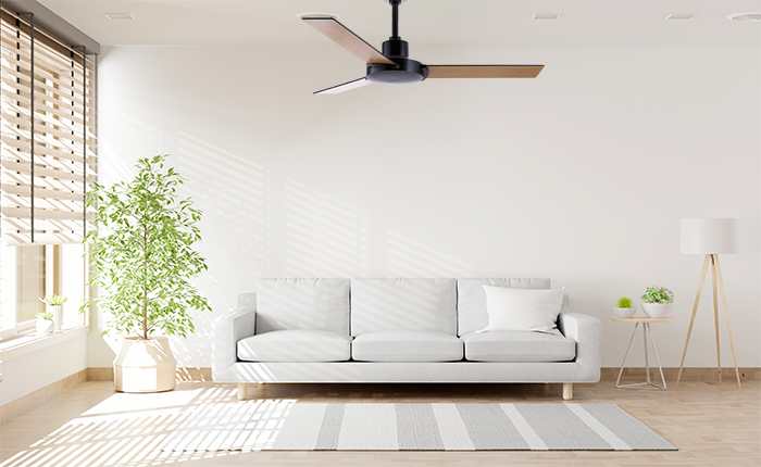 The Fan Studio: Best Fan Company in India for Excellence
