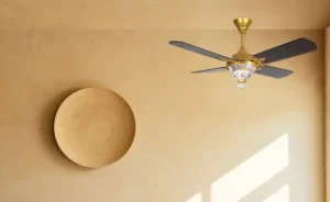 Ceiling fans in india