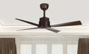ceiling fan