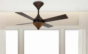 Ceiling Fans