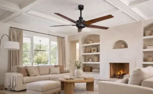 Fancy Ceiling Fans