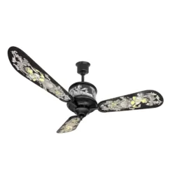 Monarch Patra Chitra