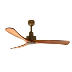 Paddle American Brass