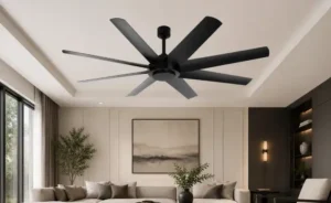 Ceiling Fan
