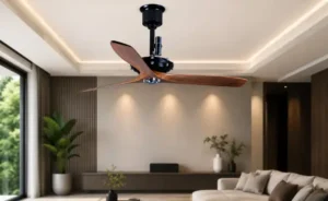 Ceiling Fan