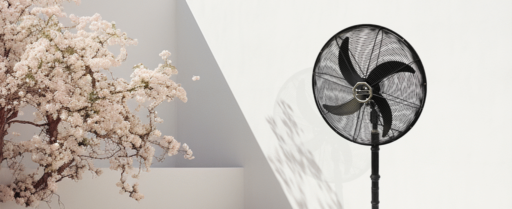 Ceiling Fan Direction: Clockwise or Anticlockwise? Winter and Summer Settings Explained