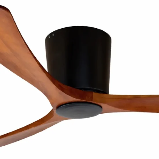 Paddle Hugger (2)