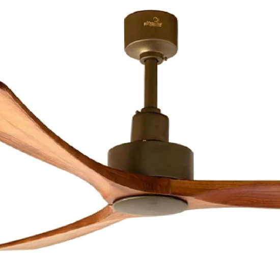 american paddle (1)