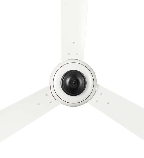 Relic Ceiling fan