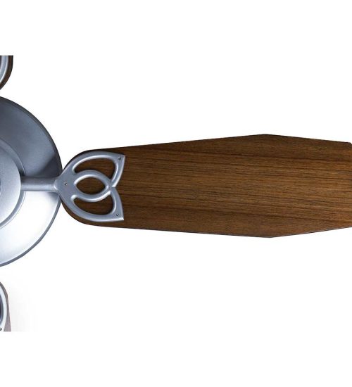 Aster Ceiling fan