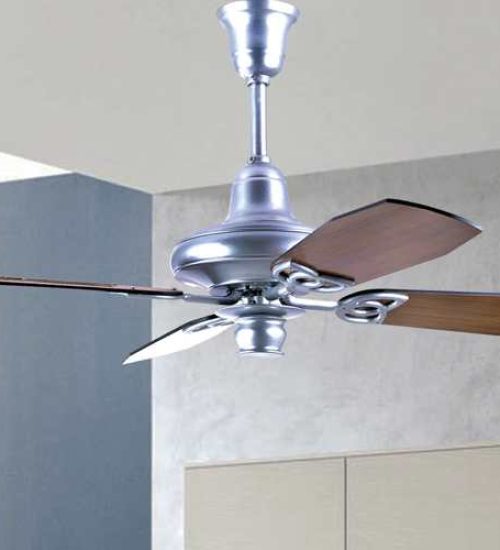 Aster Ceiling fan