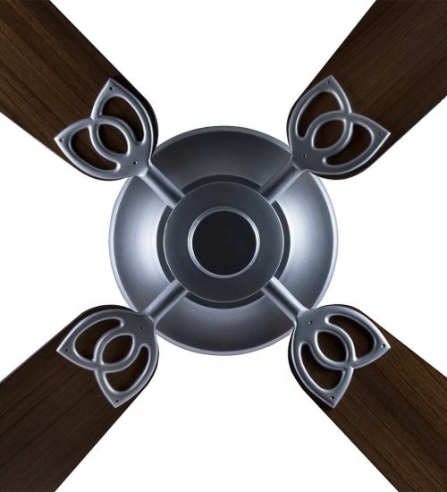 Aster Ceiling fan