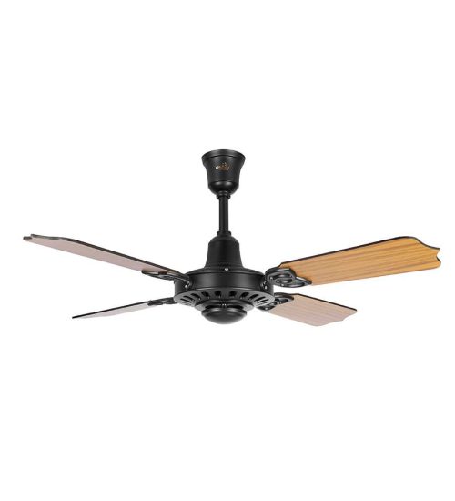 Regallia Ceiling fan