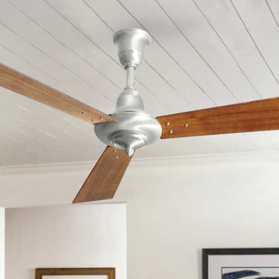 Revival Ceiling fan