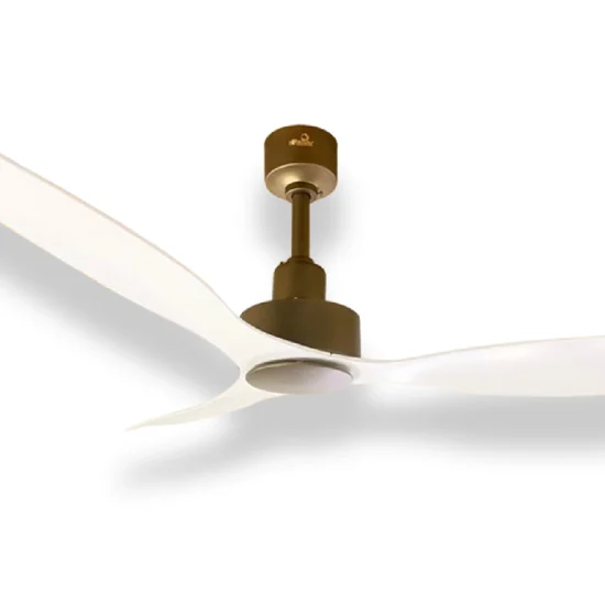 curve american brass 1