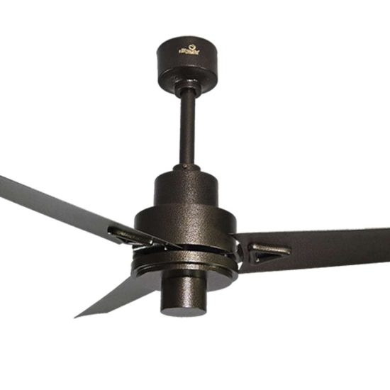 Bold Ceiling fan