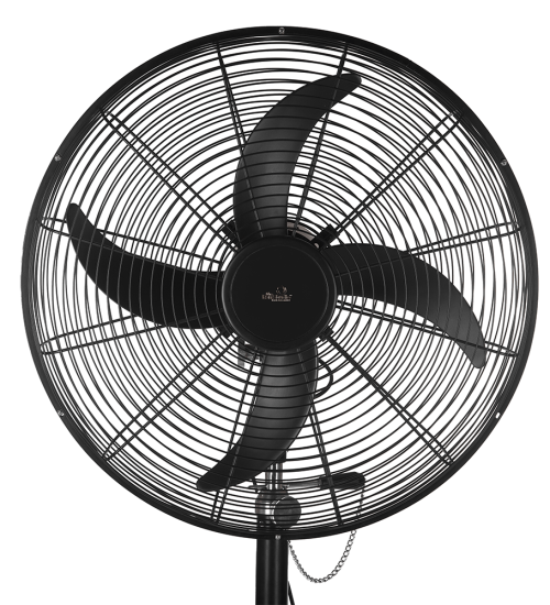 Pedestal Metal Fan