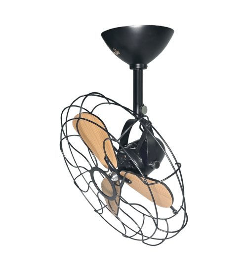Bombay Fan With Mesh